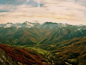 Picos de Europa